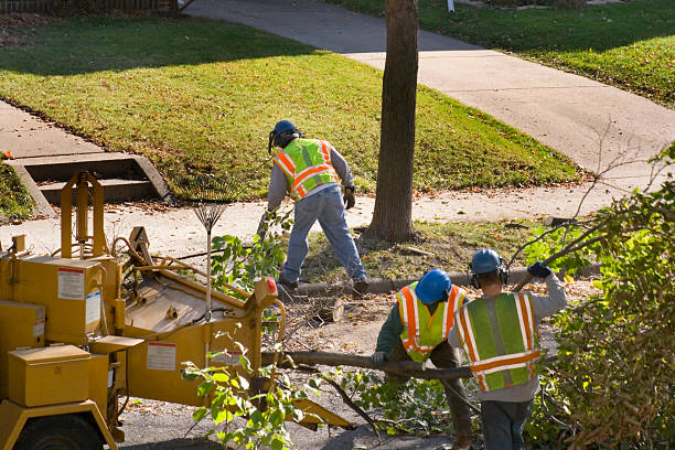 Best Arborist Consultation Services  in Centennial, CO