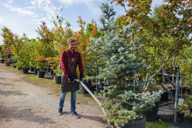 Seasonal Cleanup (Spring/Fall) in Centennial, CO